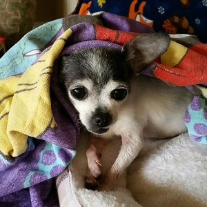 Meet your Posher, Michelle